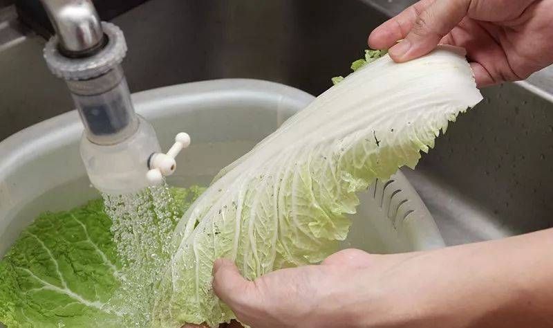 水里■有拯救卷心菜的技巧!用这个保持新鲜和甜味,并锁在水里!