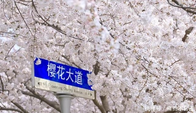 开学了,去青岛最美大学去逛一逛吧,个个堪比5A级景区