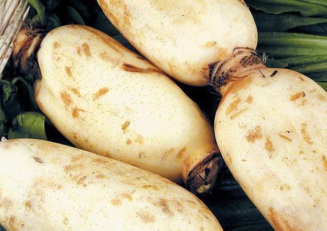 比青岛慢，比厦门小清新，广东这座小城不出名却是拍照胜地