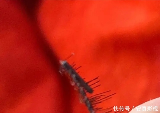 『洁面』风很大却鸡肋的单品,网红睫毛很假,口红纸涂不匀,洁面仪易长霉