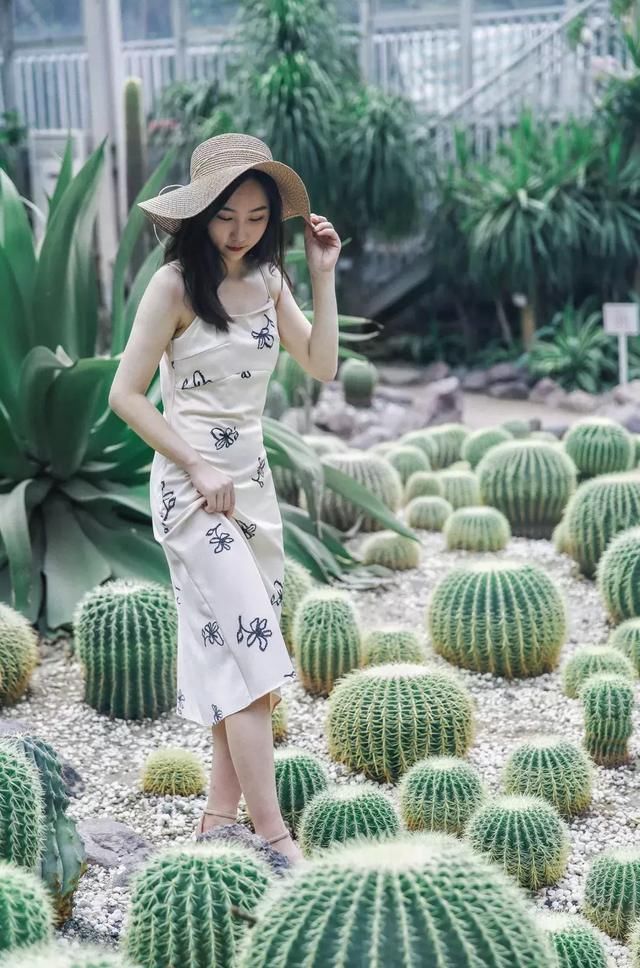 有些人在成都生活了20年，依然是个游客！