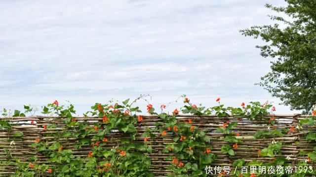  [中年人]农村这五类人，终究会离开城市回到农村，看看你们是不