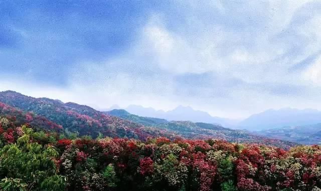 「慢慢」中国212个AAAAA景区全在这里, 存起来, 慢慢走完!