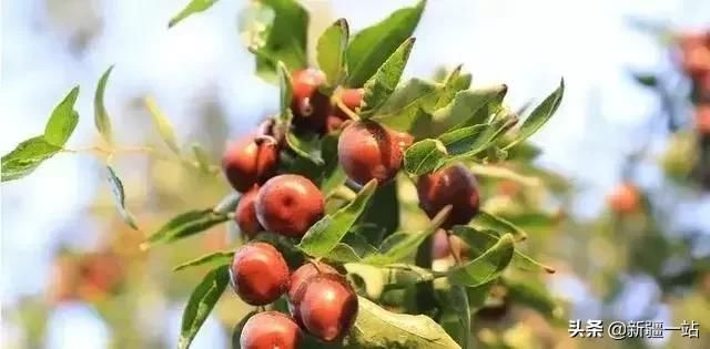 藏在新疆，它是中国最大的县！看似荒芜，农民个个都很富有!