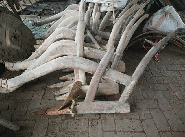  「利润」在农村，有人不出去打工，就靠收“废木头”养家，利润