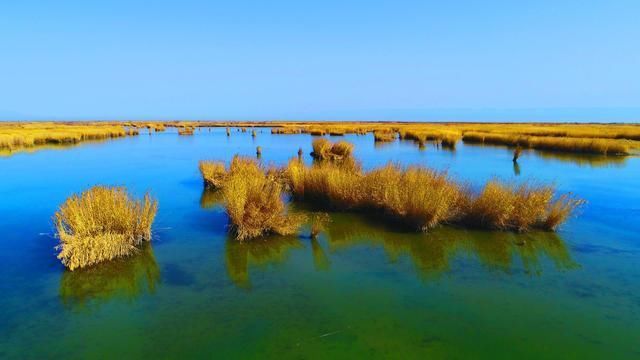  #生态#价值1万亿的咸水湖，却是中国西部沙尘暴源头之一，生态问