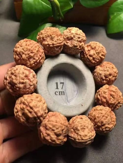  [保养]金刚菩提子怎么清洗？金刚菩提子该如何保养？