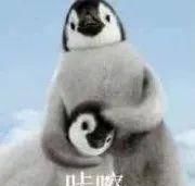  辨别■通过发型辨别渣女...这是什么沙雕啊？