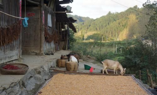  「生活」未来农村最值钱的不是房子和车子，而是以下3样东西，你