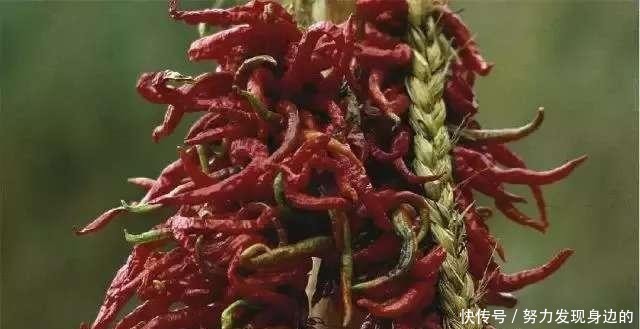 30年前, 外国人拍的“舌尖上的中国”