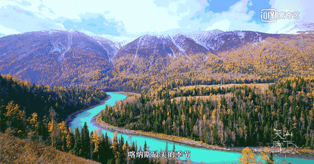 一遇新疆误终身，从此天堂是路人