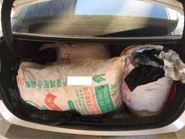  #养分#城里人真奇怪，开车来乡下捡“鸡屎”，满满一麻袋，下次还来啊