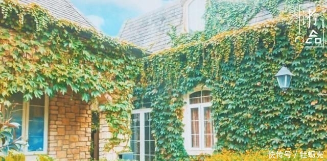 『建筑』还去洪崖洞人挤人?这些小众景点更适合你