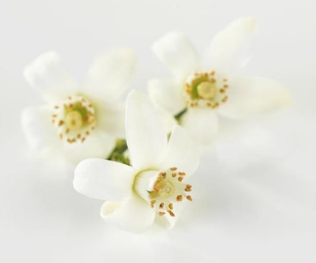 螨虫就是皮肤“祸星”,4异象出现,表示螨虫一步步霸占你的脸