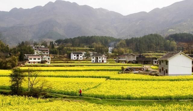 农村越来越难，十年之后，你还会回到你的老家“农村”吗？