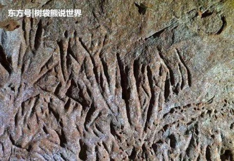 荒山之中发现地下隧道,神秘莫测类似外星人基地,成世界最大谜团