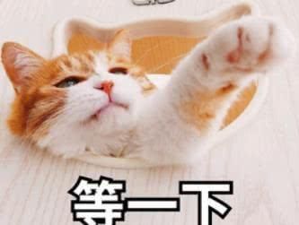  [珍珠粉]珍珠粉美白？猪蹄敷脸？盘点女明星们的奇葩美容护肤偏方