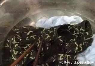 保洁阿姨说漏嘴不管多高档的酒店,这5样“脏”东西尽量不要用