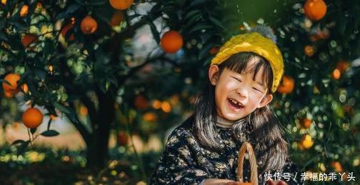  「寓意」七种适合种在院子里的果树，有的寓意吉祥，有的果实很