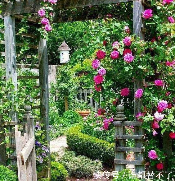 高度@阳台别瞎养花,这样巧搭配,美出新高度,美色不浪费