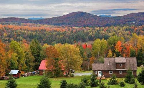  「真实生活」走进美国农村：看农民真实生活是怎样的！看完就知