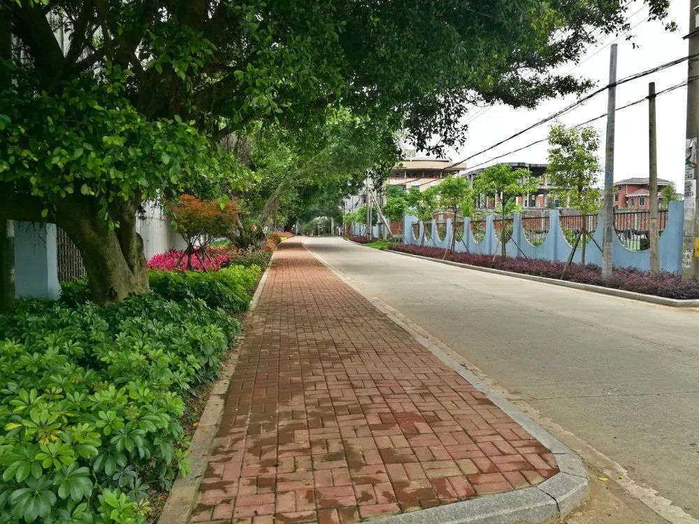 长乐美丽乡村：寻一方村落，等风也等你