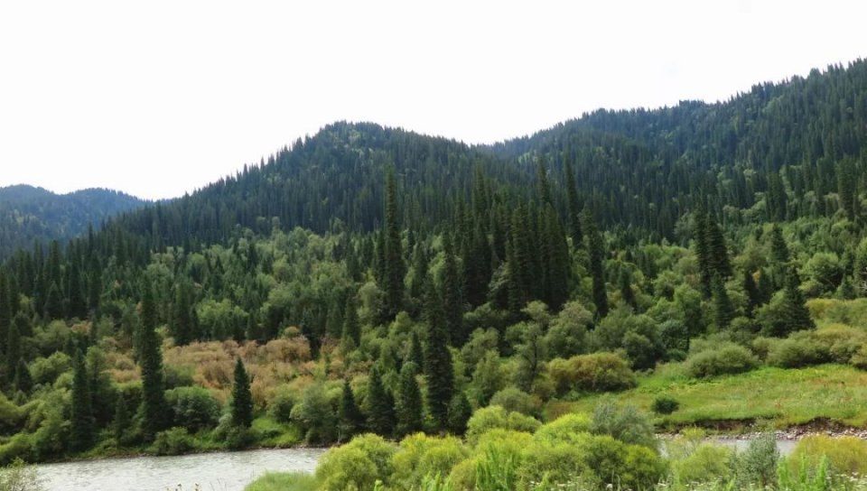 那拉提大草原:仿佛人间伊甸