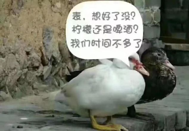 “我太难了！”今天没有一只鸭子能活着走出藤县、走出广西！