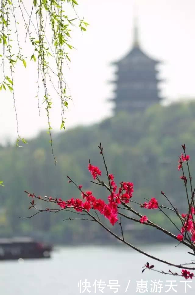 人间三月，桃红柳绿，杏花春雨，最美江南！