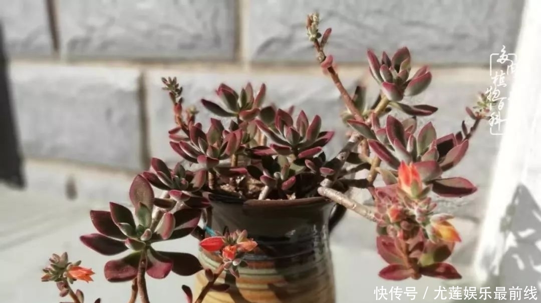 『那种』我爱的,就是你的存在!只要努力该来的都在路上!