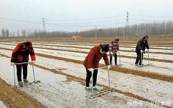  明年■明年取消农业户口后, 农民要全部迁出吗? 土地咋办? 房子