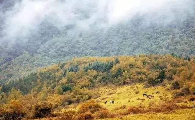  「叫板」四川敢叫板九寨沟和稻城亚丁的小城，美得惊人却很低调