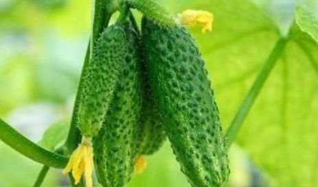  『营养』很有营养的3种食物，坚持吃一些，排毒养颜，有益健康！