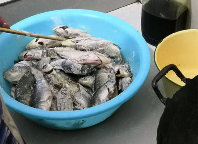  [开口]最近小鲫鱼开口不错！油炸面粉鲫鱼，它的味道你能抵挡得住吗？
