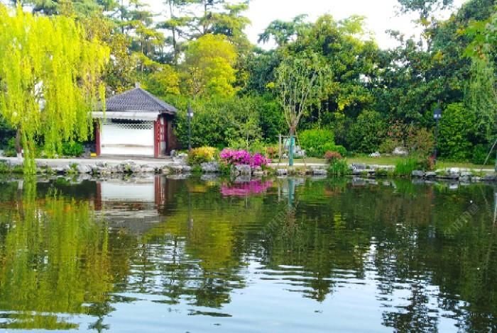  「解决方案」空竿、跑鱼、鱼停口、小鱼闹，有鱼星不食饵的原因，附上解决方案