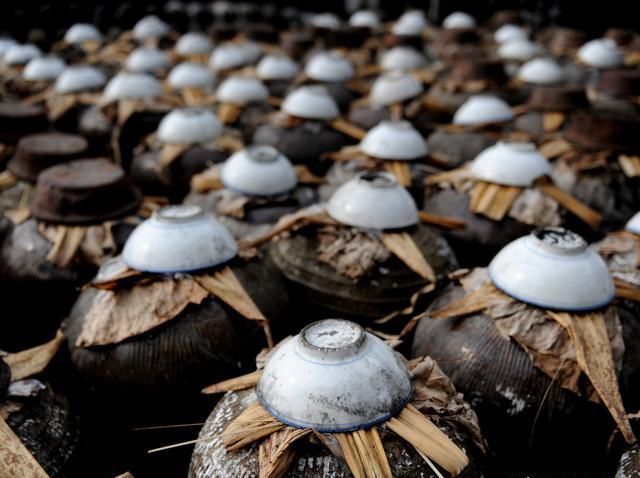 农村有哪些比较好的致富门路呢？几个适合在农村的创业项目！