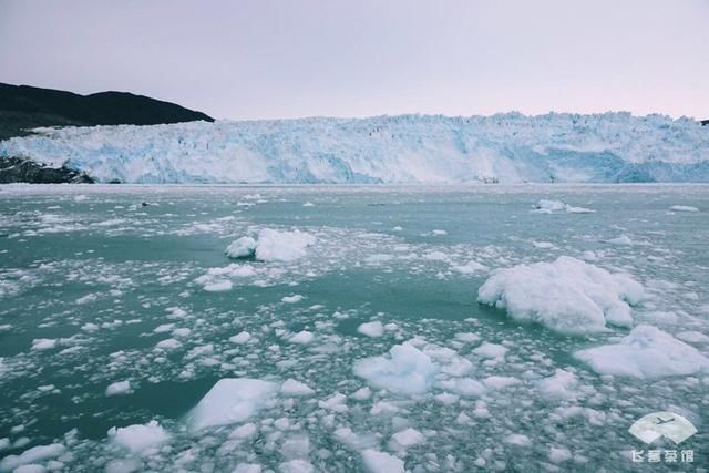 中国小伙北极之旅，入住2000多一晚的当地酒店，鲸鱼肉竟放路边卖