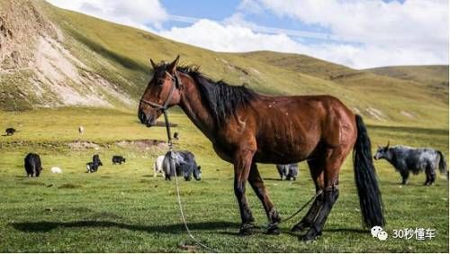 6万块“小硬汉”吉利远景X3自驾1500公里穿越新疆