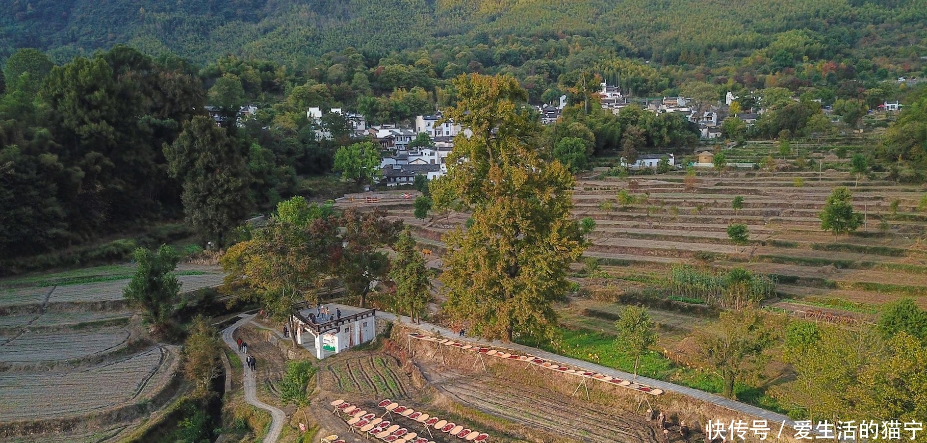 安徽最美秋色即将上线 三个人少景美的赏秋胜地 错过要再等一年