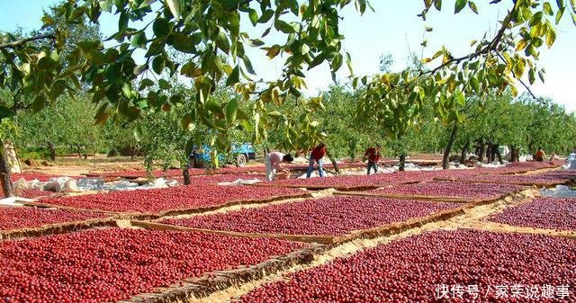 新疆改名呼声最高的一座城市