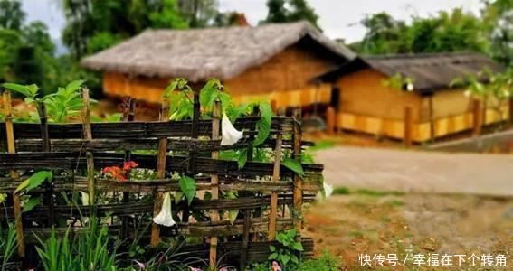  「快乐」篱笆小院住在乡村的快乐，你想体验吗！