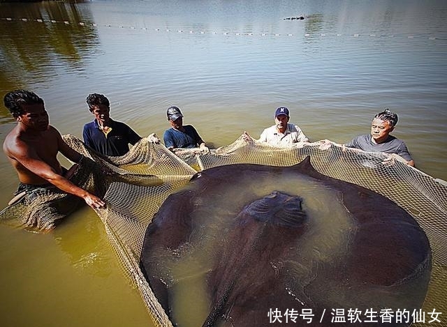 强烈要求李大毛老师停止游钓中国, 远征湄公河降服真正的巨物