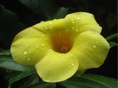  「大有前途」四川最“具有潜力”的城市，不是绵阳也不是巴中，