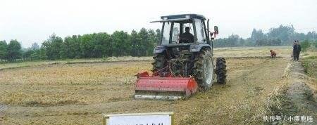 当初鼓励秸秆还田, 如今弊端显现, 农民质问专家 损失谁来负责