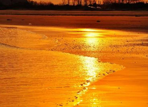 中国最有“价值”的沙漠,日本曾想用粮食换沙子,却没如其所愿