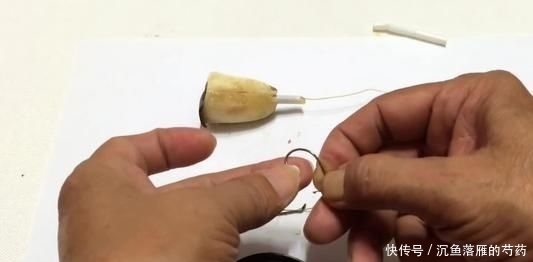  「常用」老白常用饵料配方，玉米粒和香蕉，草鱼钓到爆护