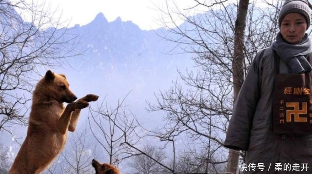 终南山为何隐士越来越多难道真有这么大的魅力吗原因令人深思