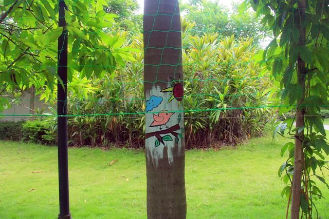 东莞撒野农庄将树木当画本，让游客脑洞大开在树上涂鸦