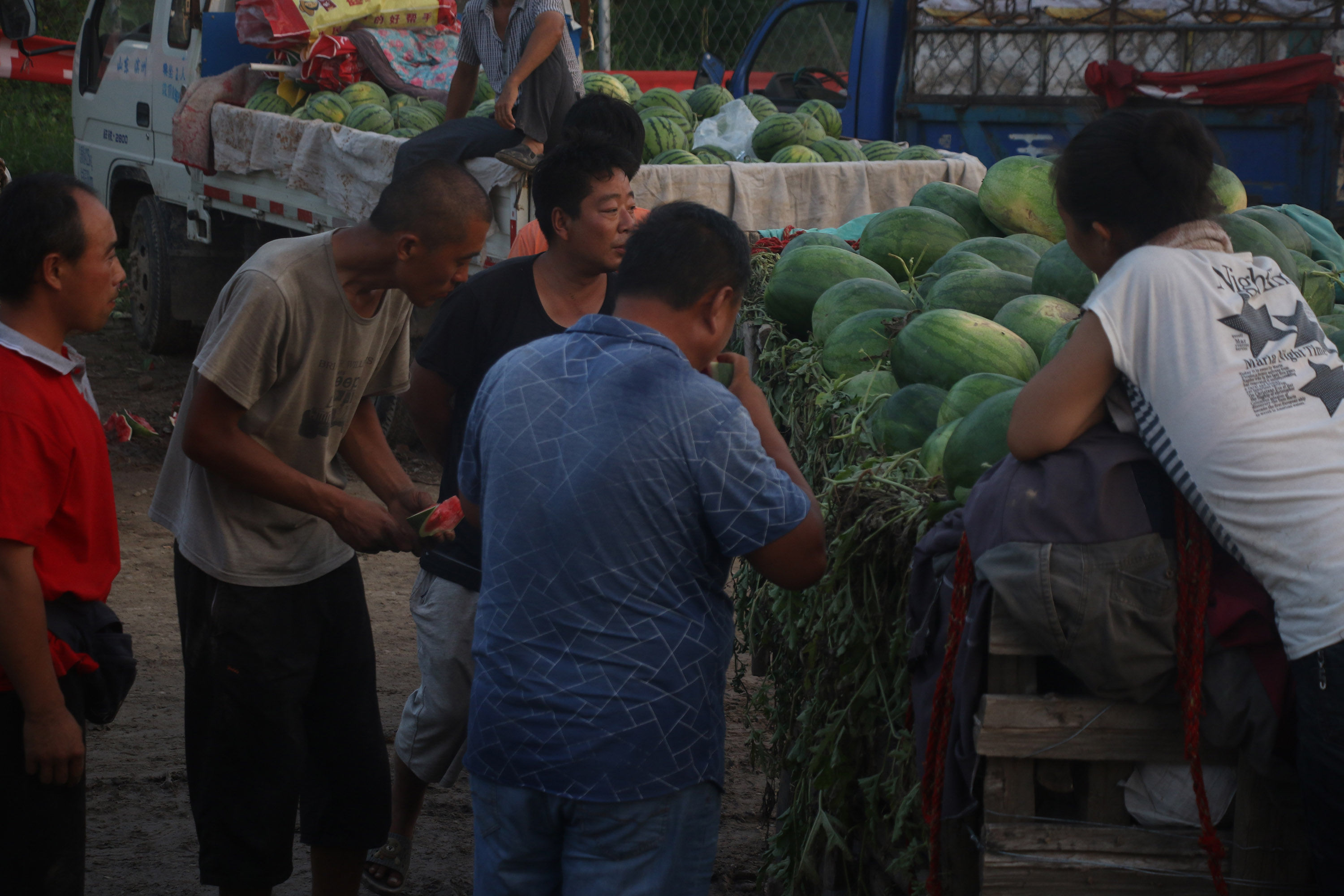 万斤西瓜多卖800元只因一招，农村美女大姐开心数钱