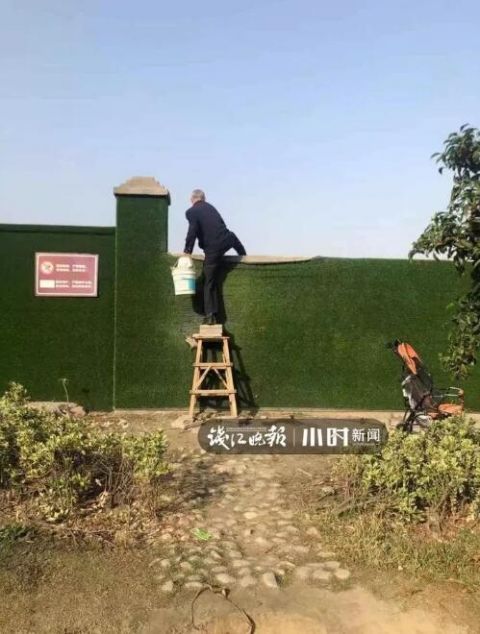  围墙@2米高啊！杭州这群人天天在这翻围墙！往里一望目瞪口呆